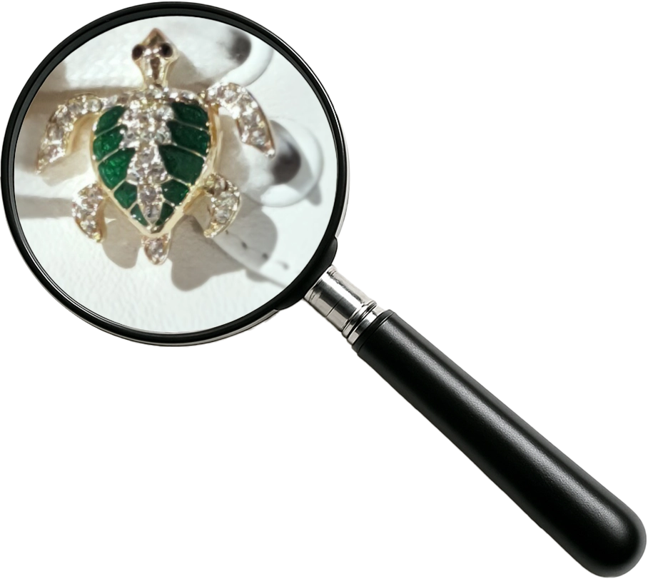 Magnifying glass pointing at a turtle-shaped shoe accessory