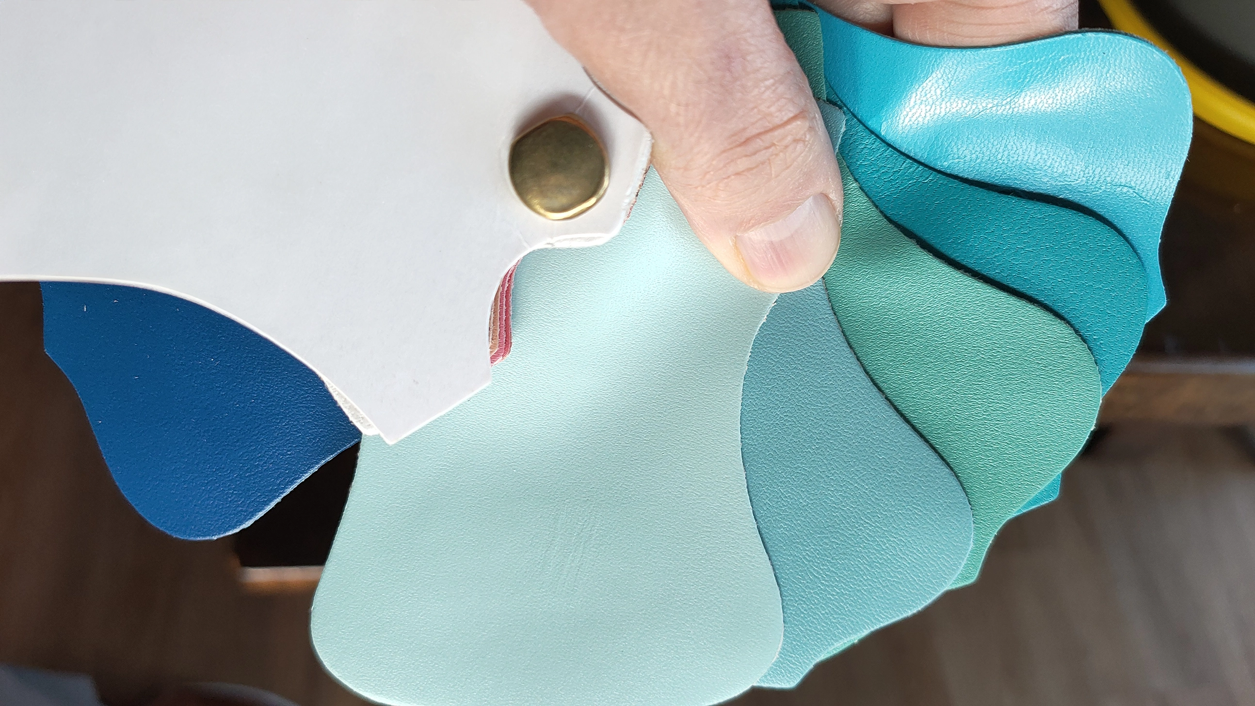 Mazzetta colori dei pellami